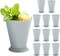 4E's Novelty Mint Julep Plastic Cups 12 Pack 10 Oz Bulk - for Kentucky Themed Derby Party Supplies Decorations Kids Table Centerpiece Horse Racing Birthday Tableware